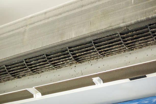 Best Commercial Air Duct Cleaning  in Warren, IN
