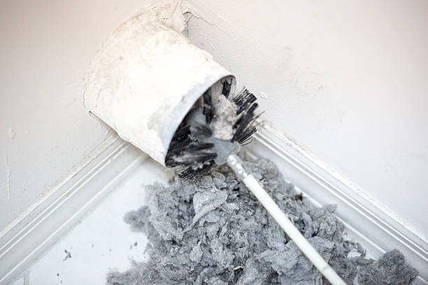 Best Professional Duct Cleaning Services  in Warren, IN